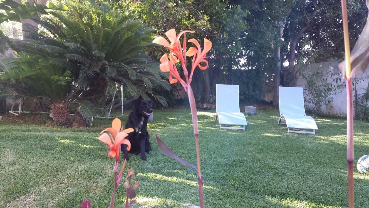 Apartamento A Casa Di Marley Lecce Exterior foto